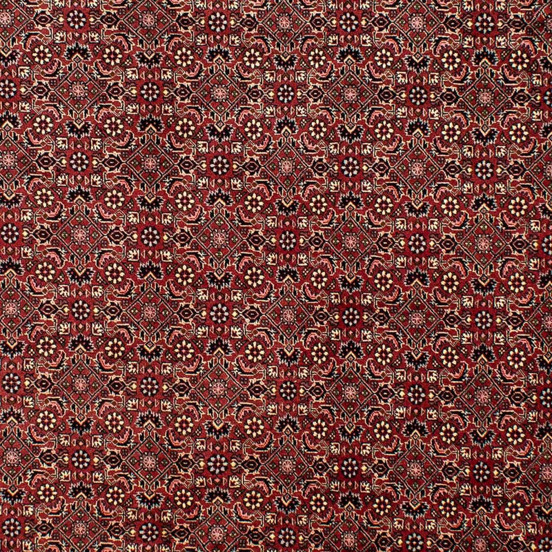 Perserteppich - Bidjar 290 x 195 cm