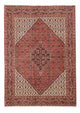 Bidjar Teppich 250x175cm - Perserteppich