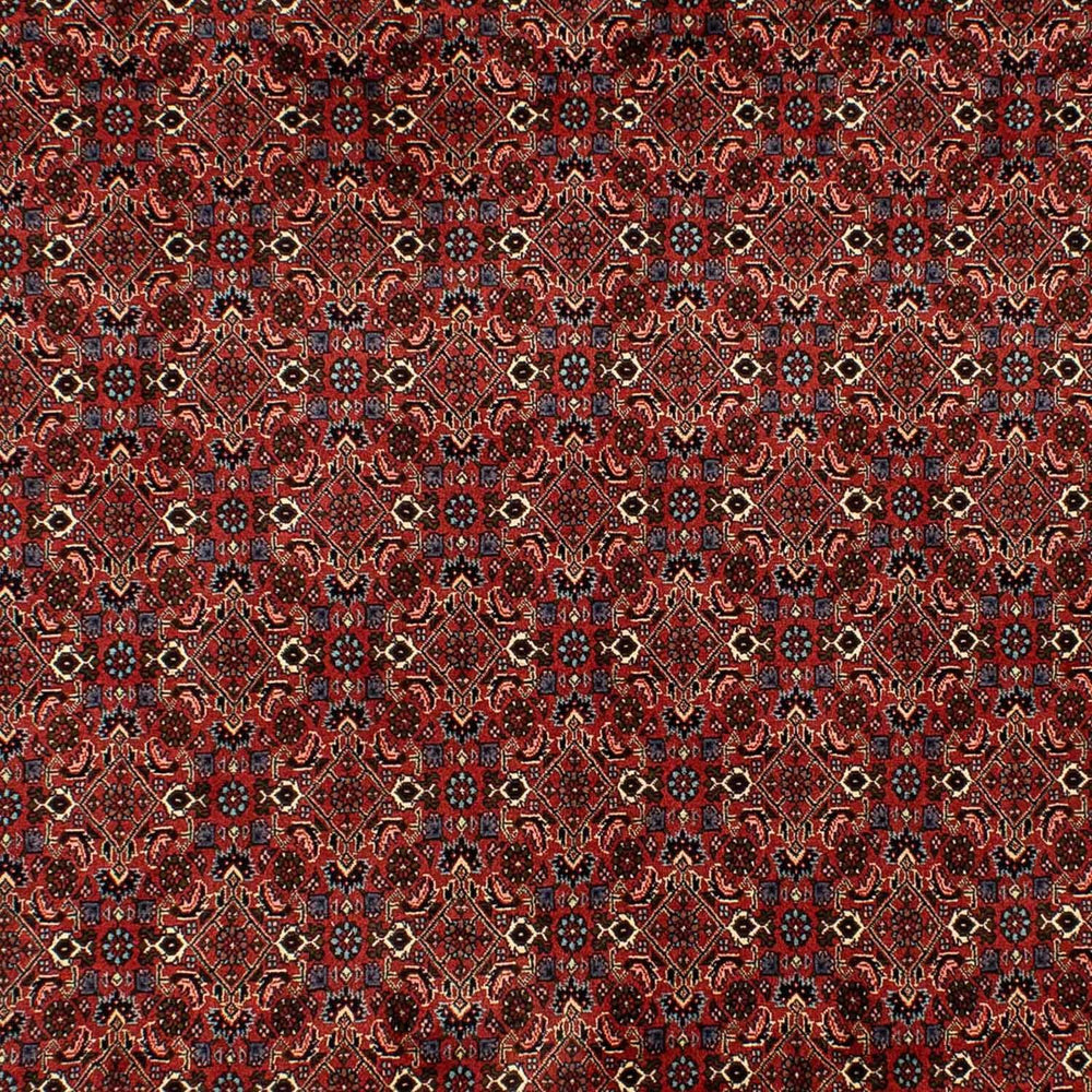 Perserteppich - Bidjar 284 x 200 cm