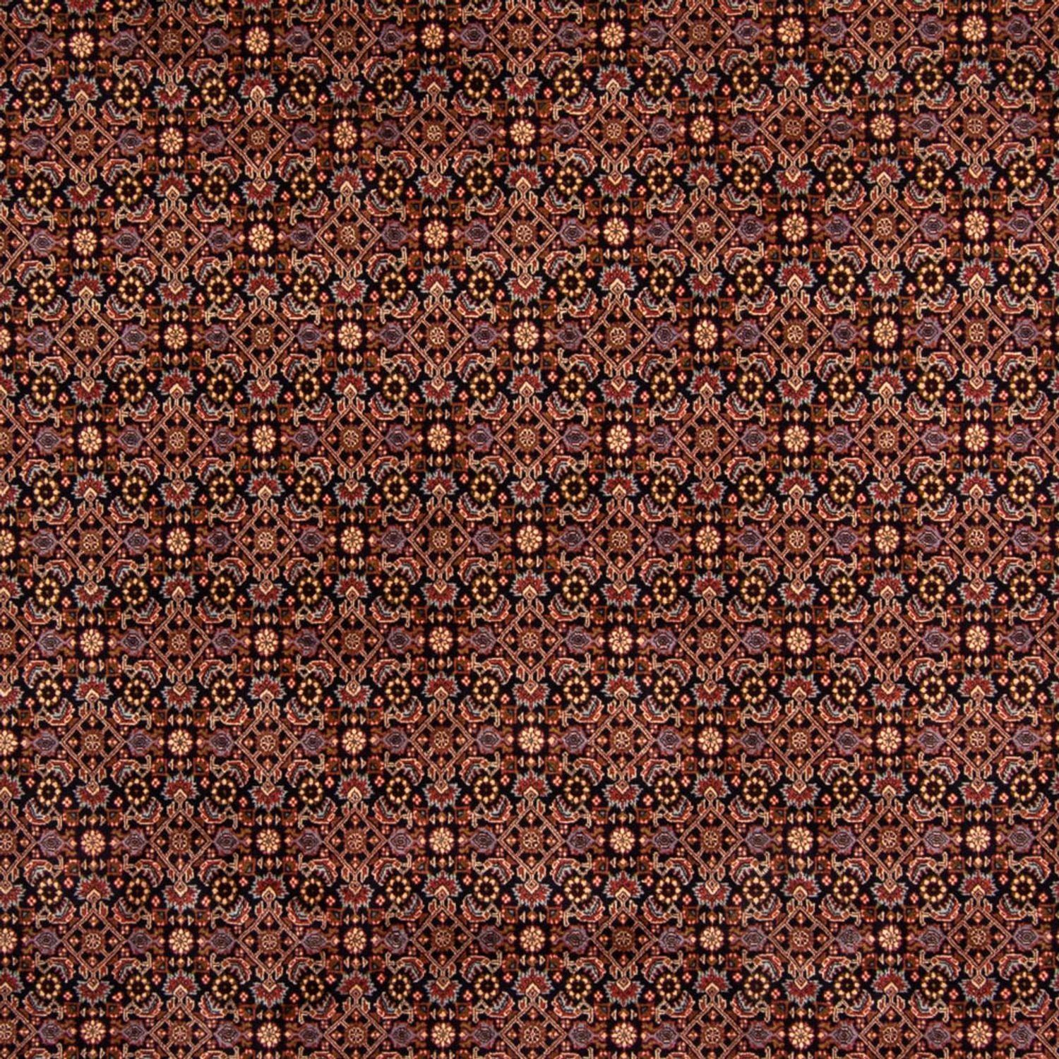 Perserteppich - Bidjar 345 x 245 cm