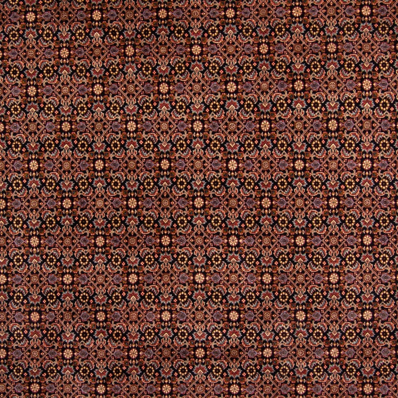 Perserteppich - Bidjar 345 x 245 cm