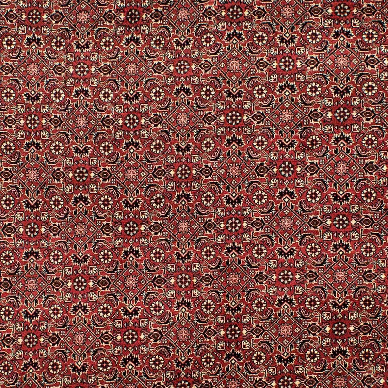 Perserteppich - Bidjar 305 x 198 cm