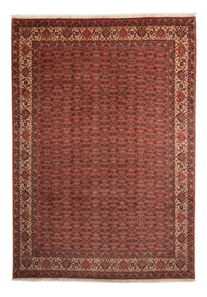 Perserteppich - Bidjar 357 x 248 cm