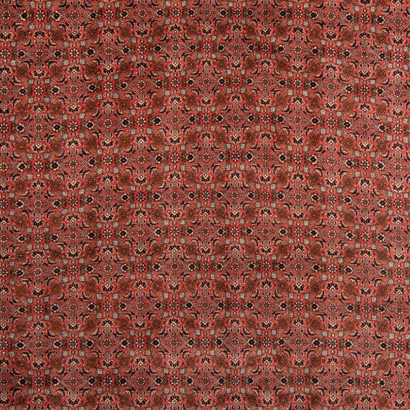 Perserteppich - Bidjar 357 x 248 cm