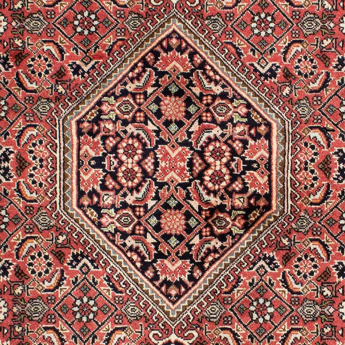 Perserteppich - Bidjar 210 x 139 cm - rot