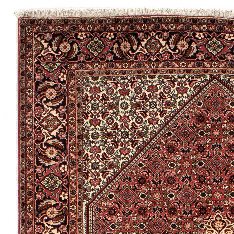 Perserteppich - Bidjar 296 x 198 cm