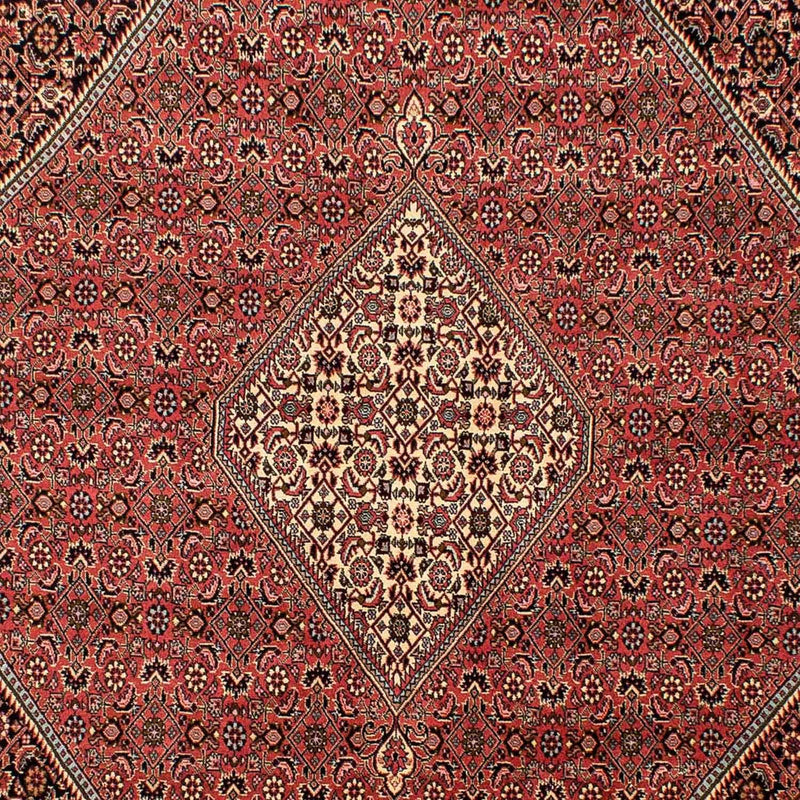 Perserteppich - Bidjar 293 x 205 cm