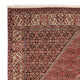 Perserteppich - Bidjar 293 x 205 cm