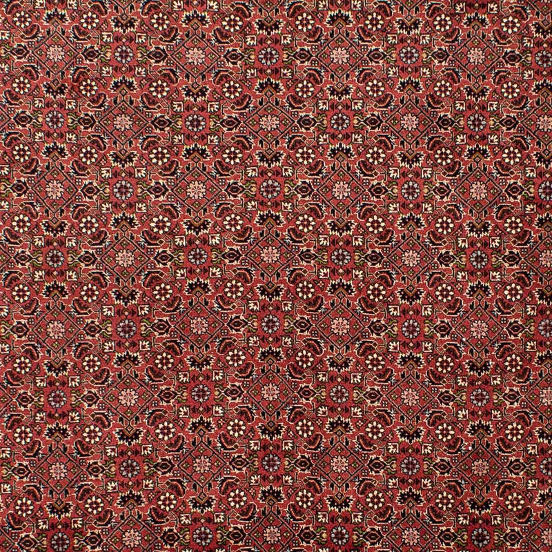 Perserteppich - Bidjar 310 x 196 cm