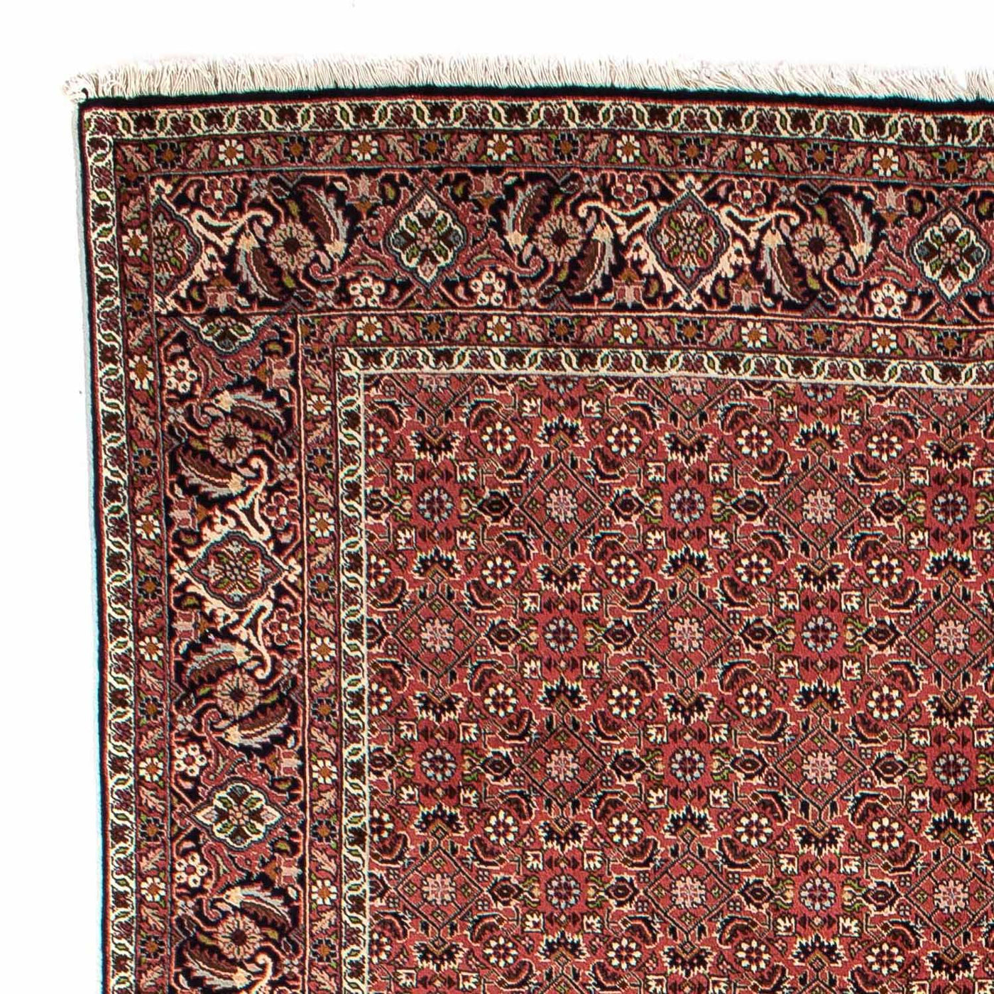 Bidjar Teppich 310x196cm - Perserteppich
