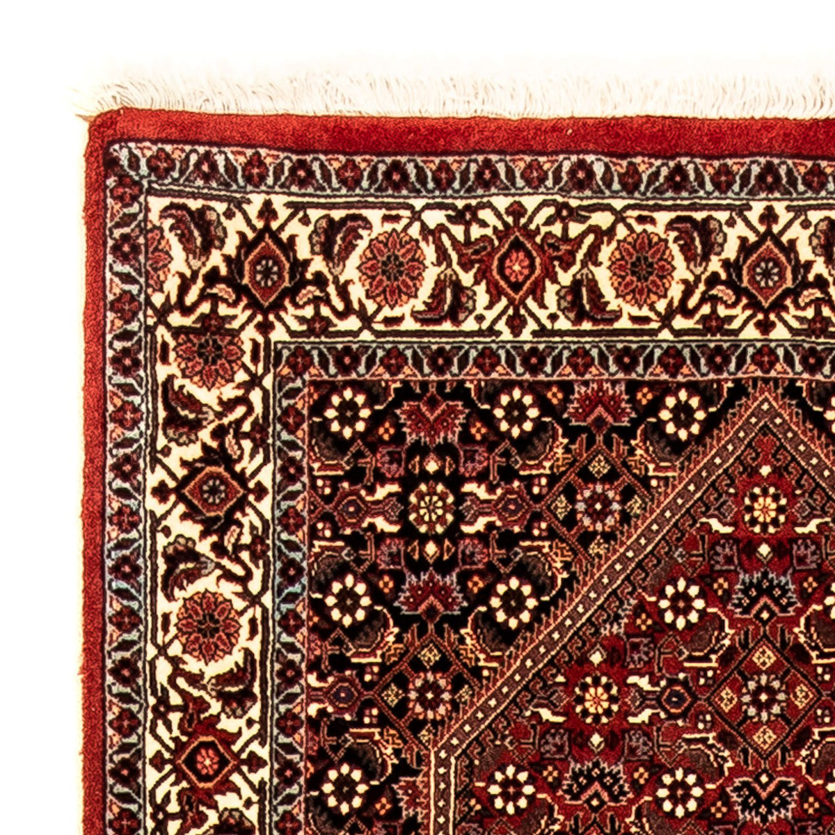 Perserteppich - Bidjar 310 x 83 cm - mehrfarbig