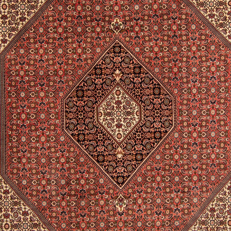 Perserteppich - Bidjar 343 x 250 cm
