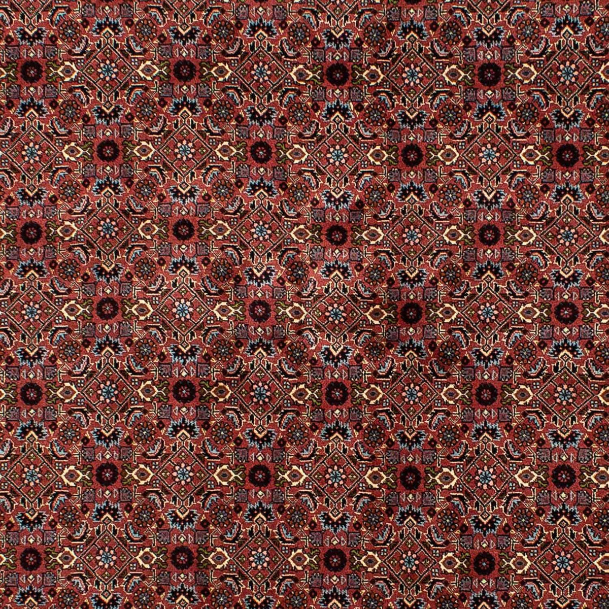 Perserteppich - Bidjar 257 x 178 cm