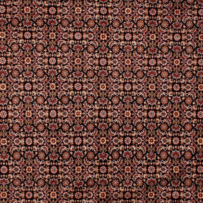 Perserteppich - Bidjar 292 x 199 cm