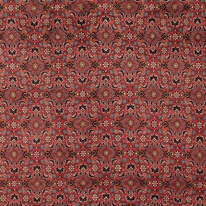 Perserteppich - Bidjar 293 x 206 cm