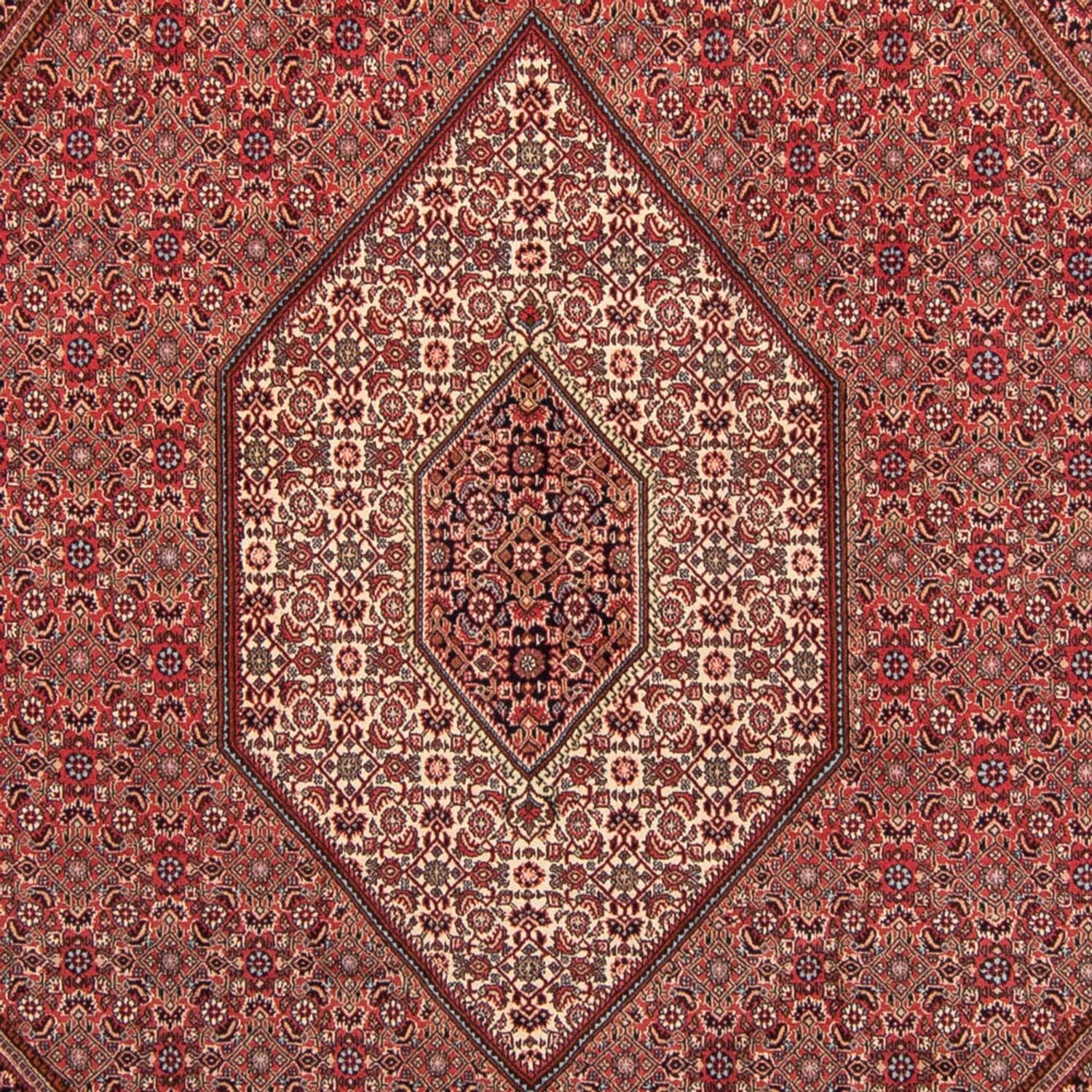 Perserteppich - Bidjar 350 x 248 cm - hellrot