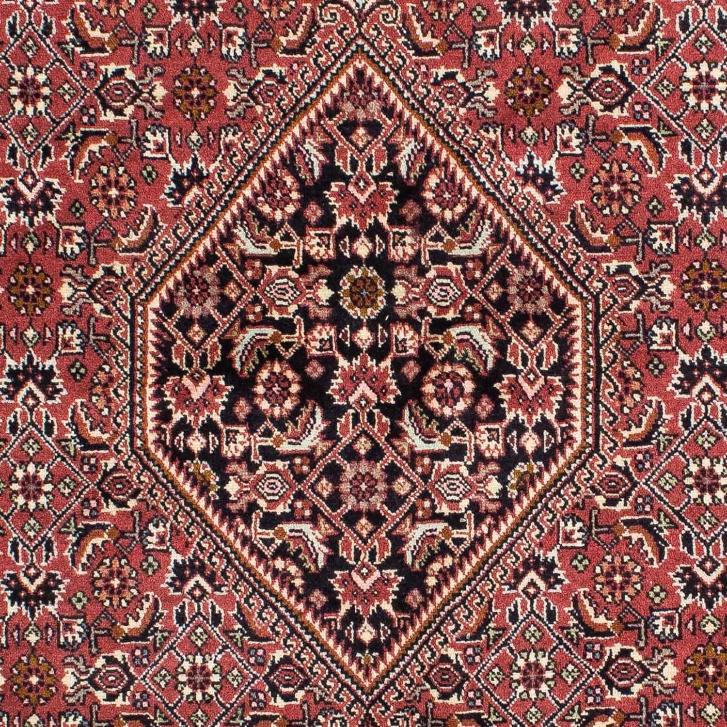 Perserteppich - Bidjar 228 x 142 cm