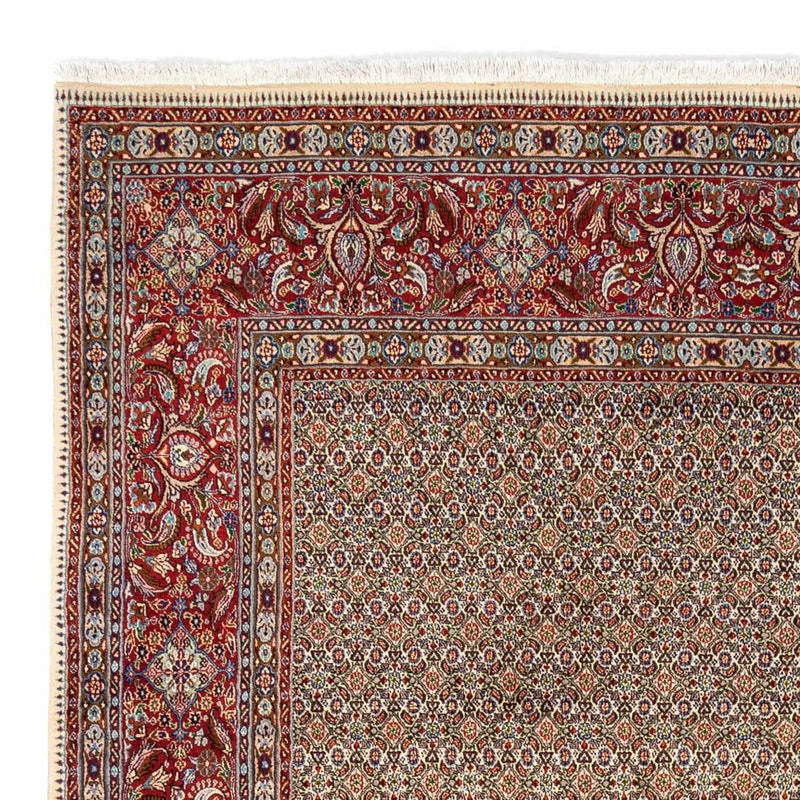 Perserteppich - Classic 346 x 238 cm