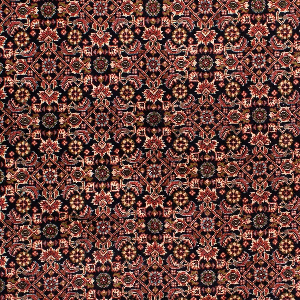 Perserteppich - Bidjar 209 x 140 cm