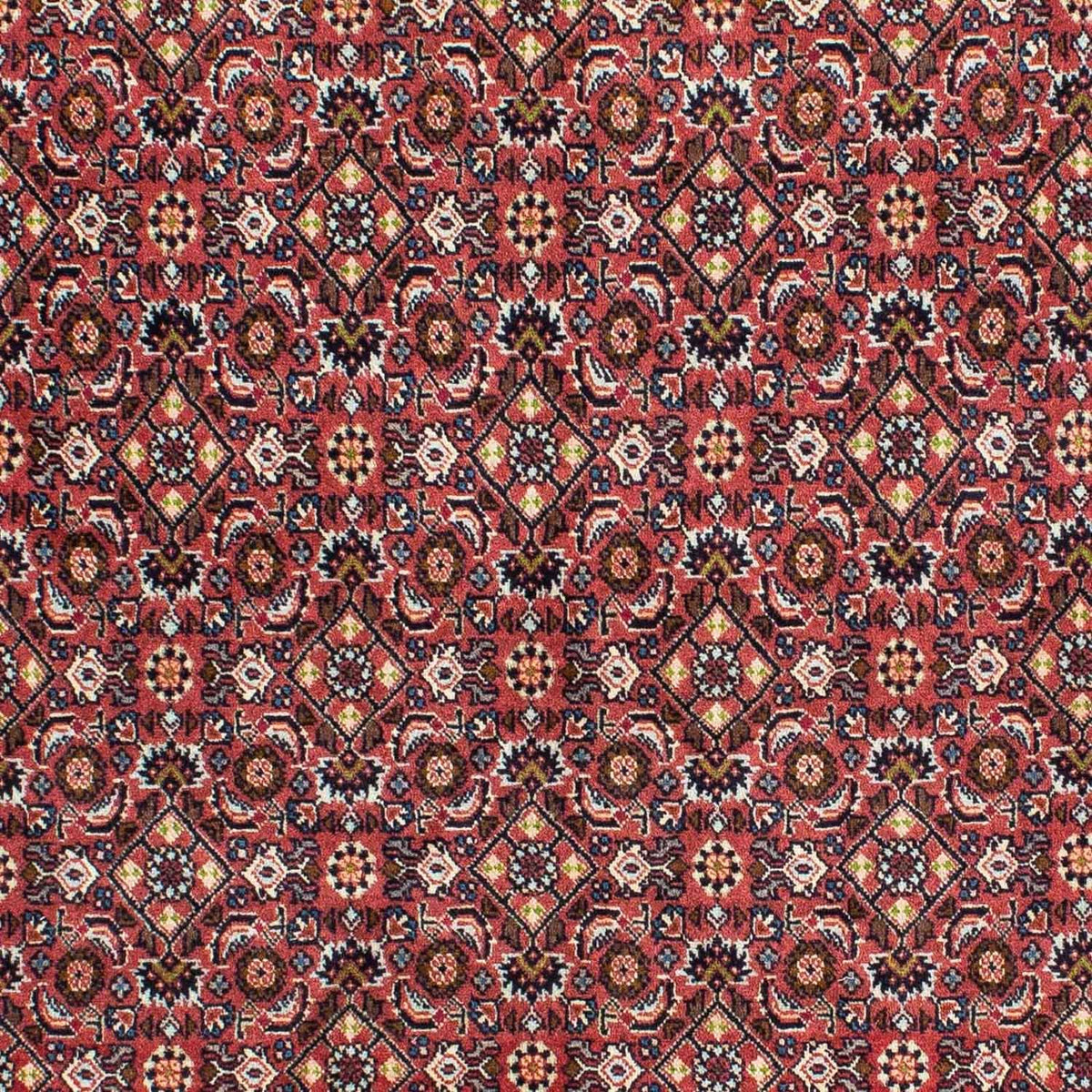 Perserteppich - Bidjar 215 x 140 cm - rot