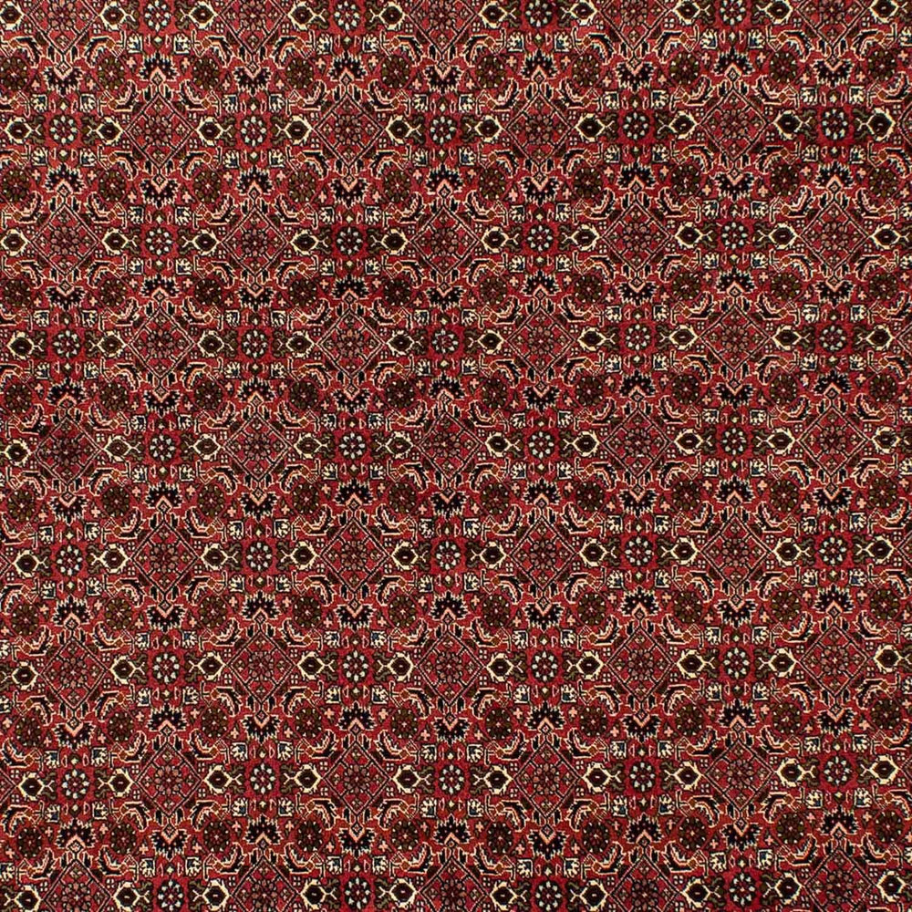 Perserteppich - Bidjar 284 x 202 cm