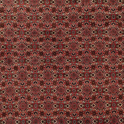 Perserteppich - Bidjar 284 x 202 cm
