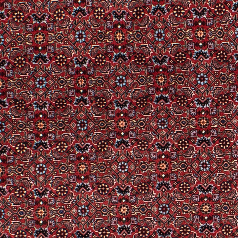 Perserteppich - Bidjar 160 x 160 cm