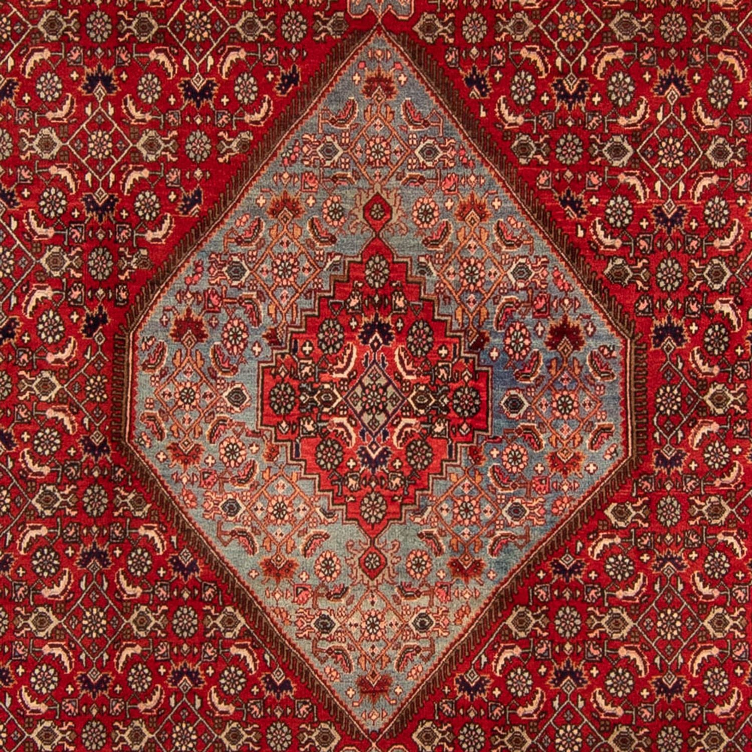 Perserteppich - Bidjar 332 x 228 cm
