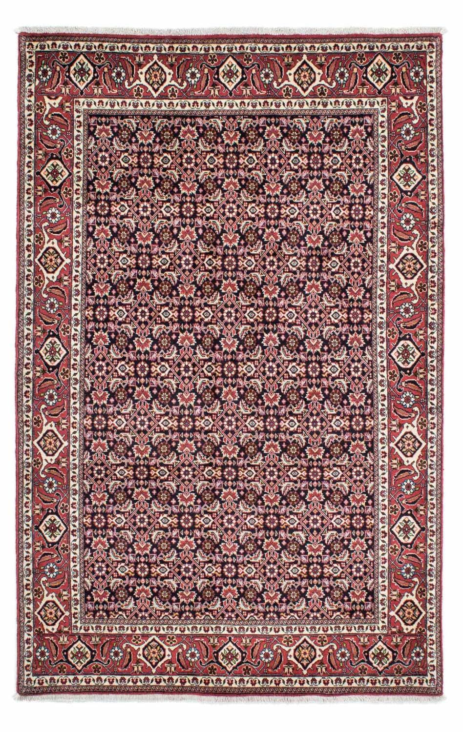 Perserteppich - Bidjar 220 x 136 cm