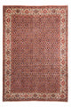 Perserteppich - Bidjar 297 x 202 cm