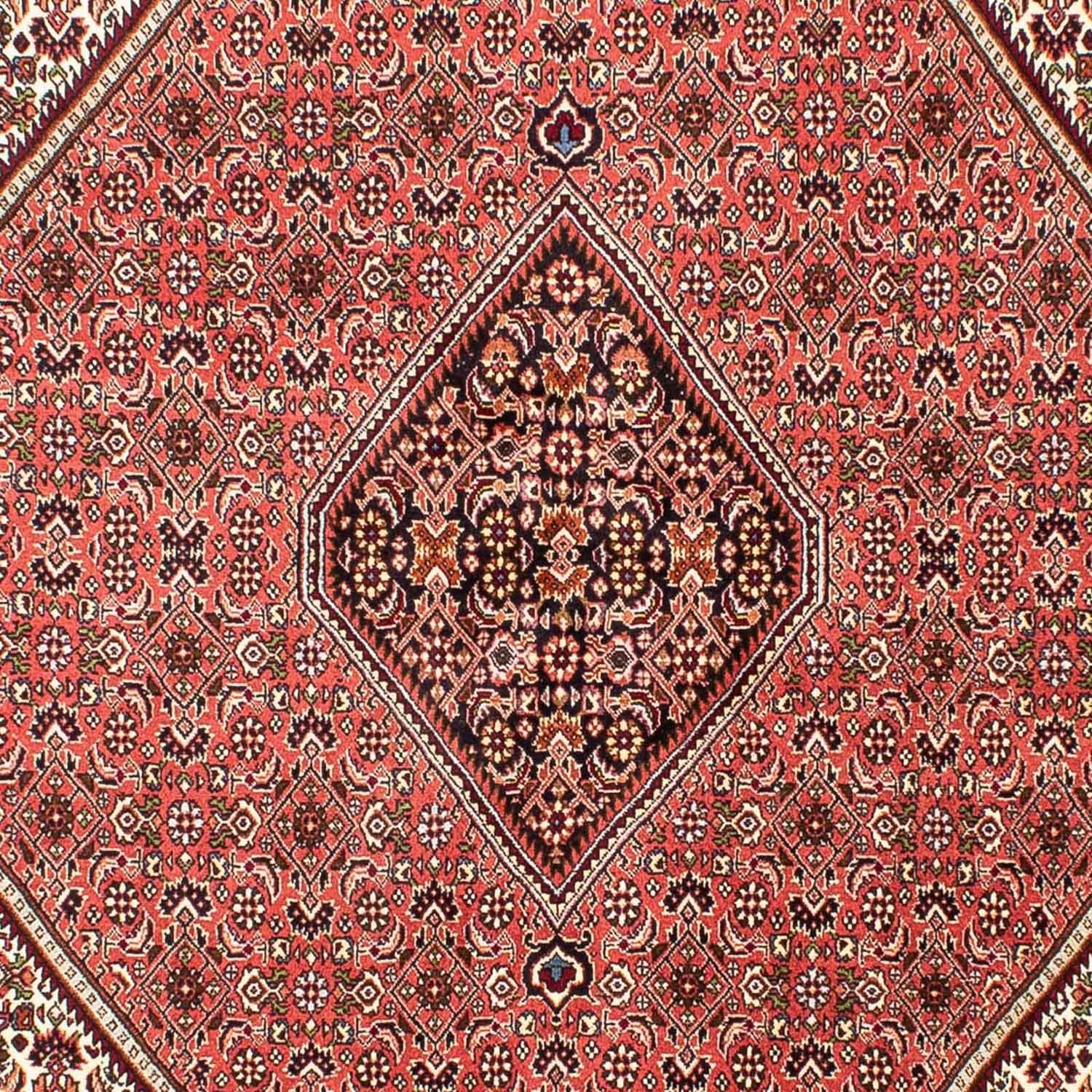Perserteppich - Bidjar 243 x 174 cm