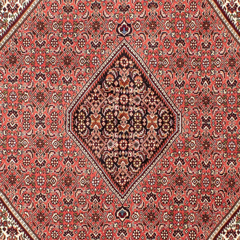 Perserteppich - Bidjar 243 x 174 cm