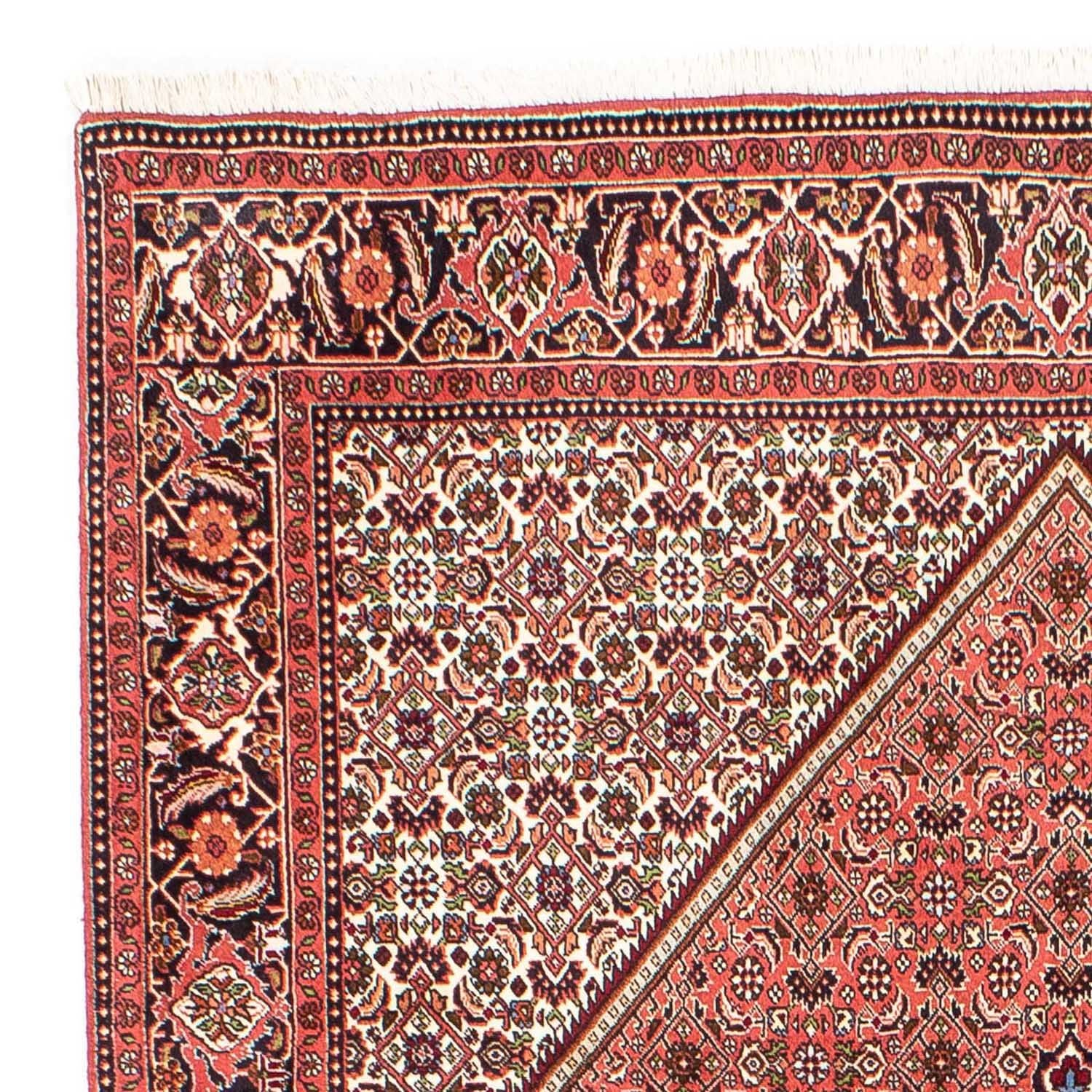 Perserteppich - Bidjar 243 x 174 cm