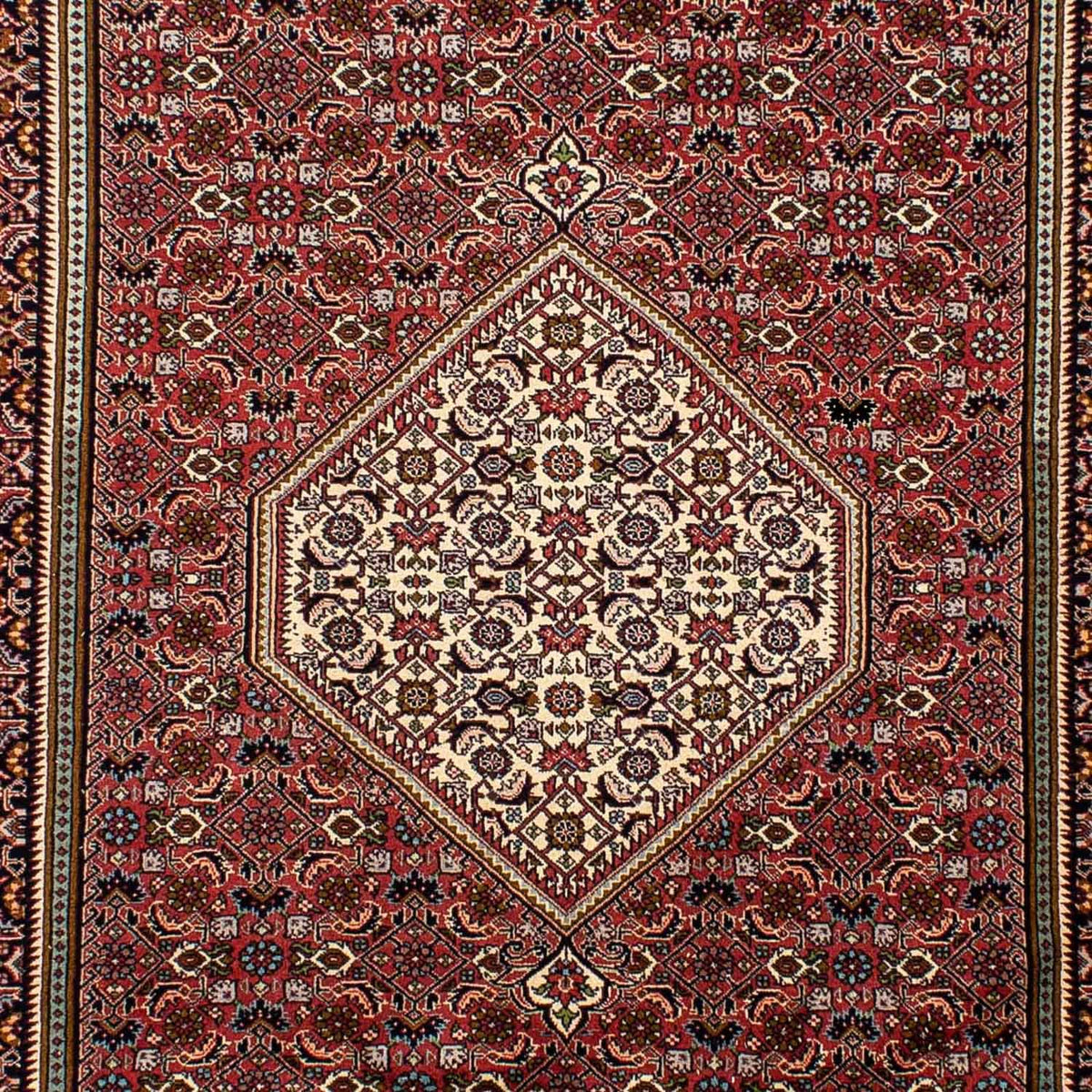 Perserteppich - Bidjar 288 x 195 cm