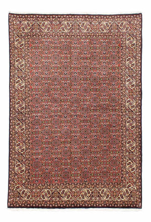 Perserteppich - Bidjar 251 x 172 cm
