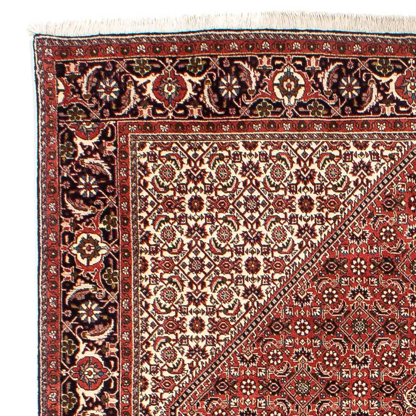 Bidjar Teppich 242x173cm - Perserteppich