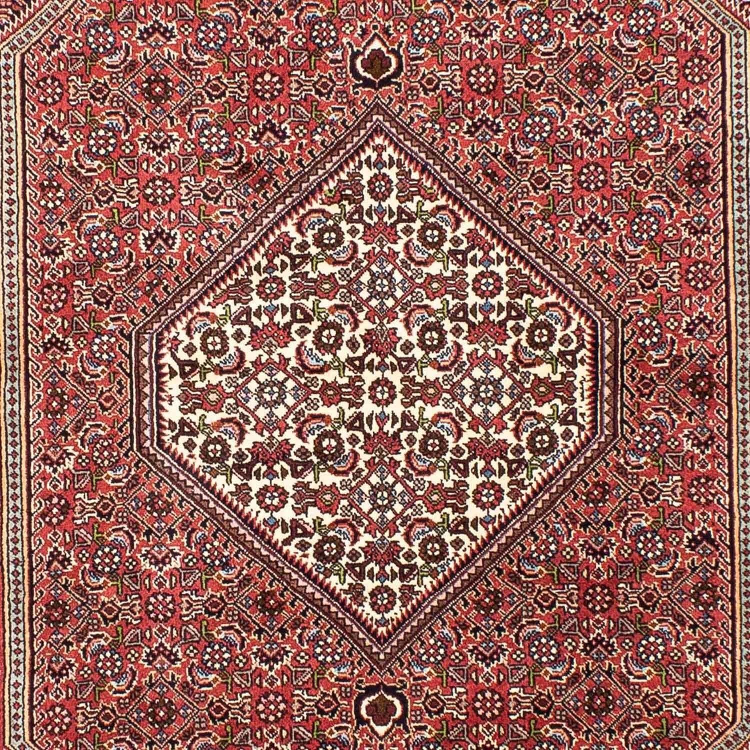 Perserteppich - Bidjar 255 x 170 cm