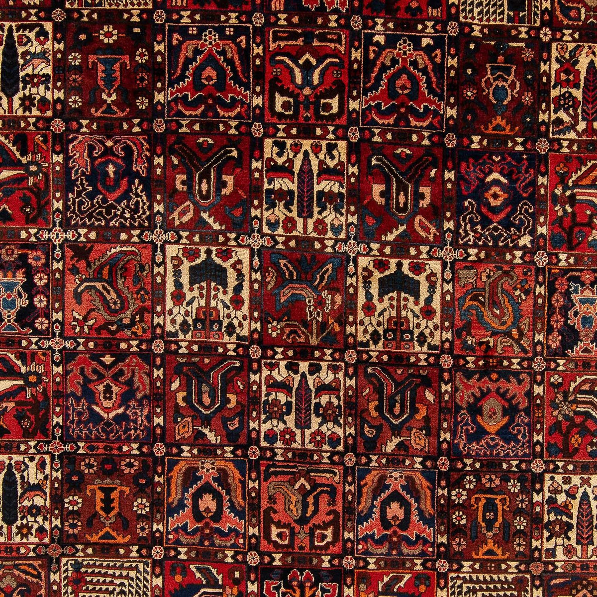 Ziegler Teppich - Bachtiari 374 x 305 cm