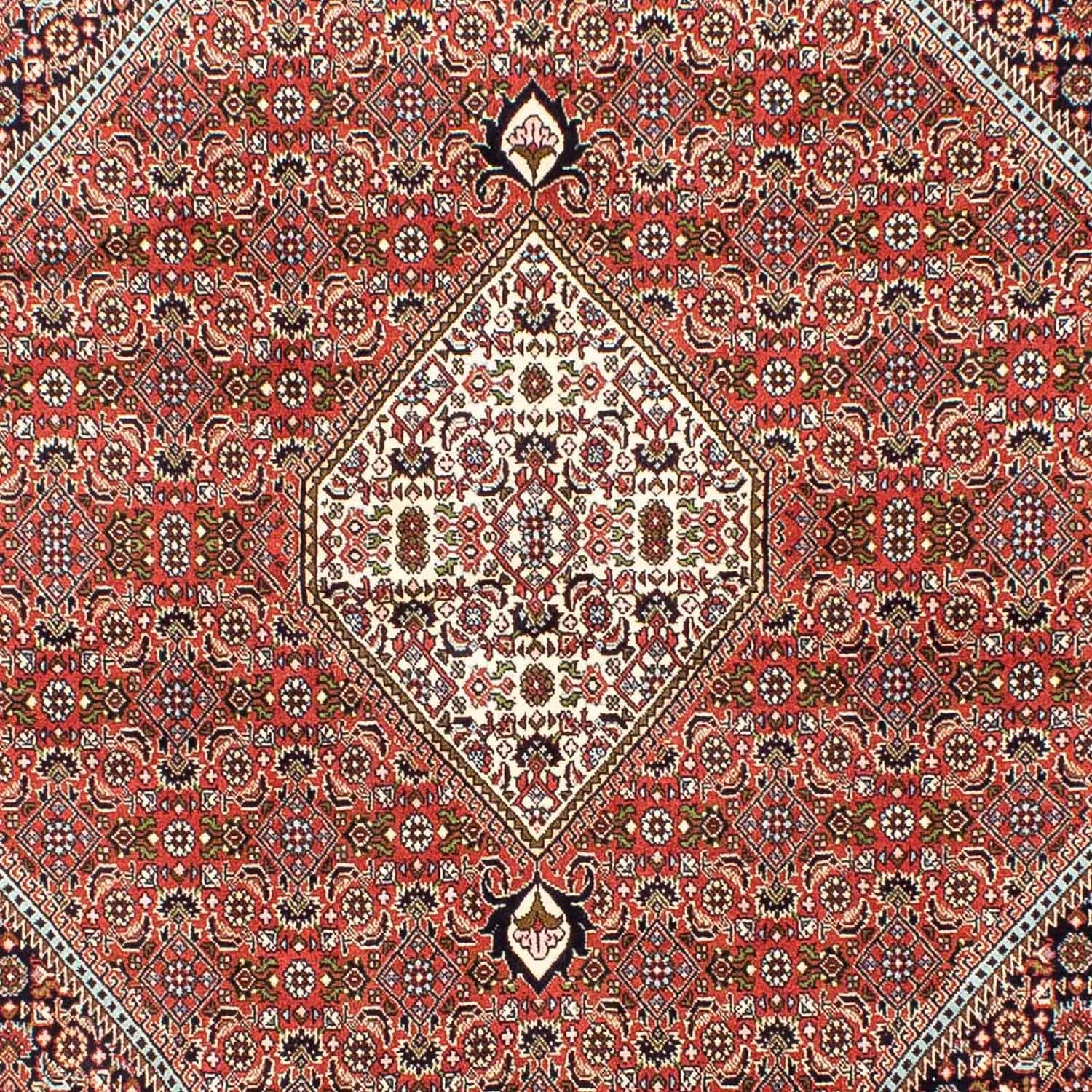 Perserteppich - Bidjar 253 x 174 cm