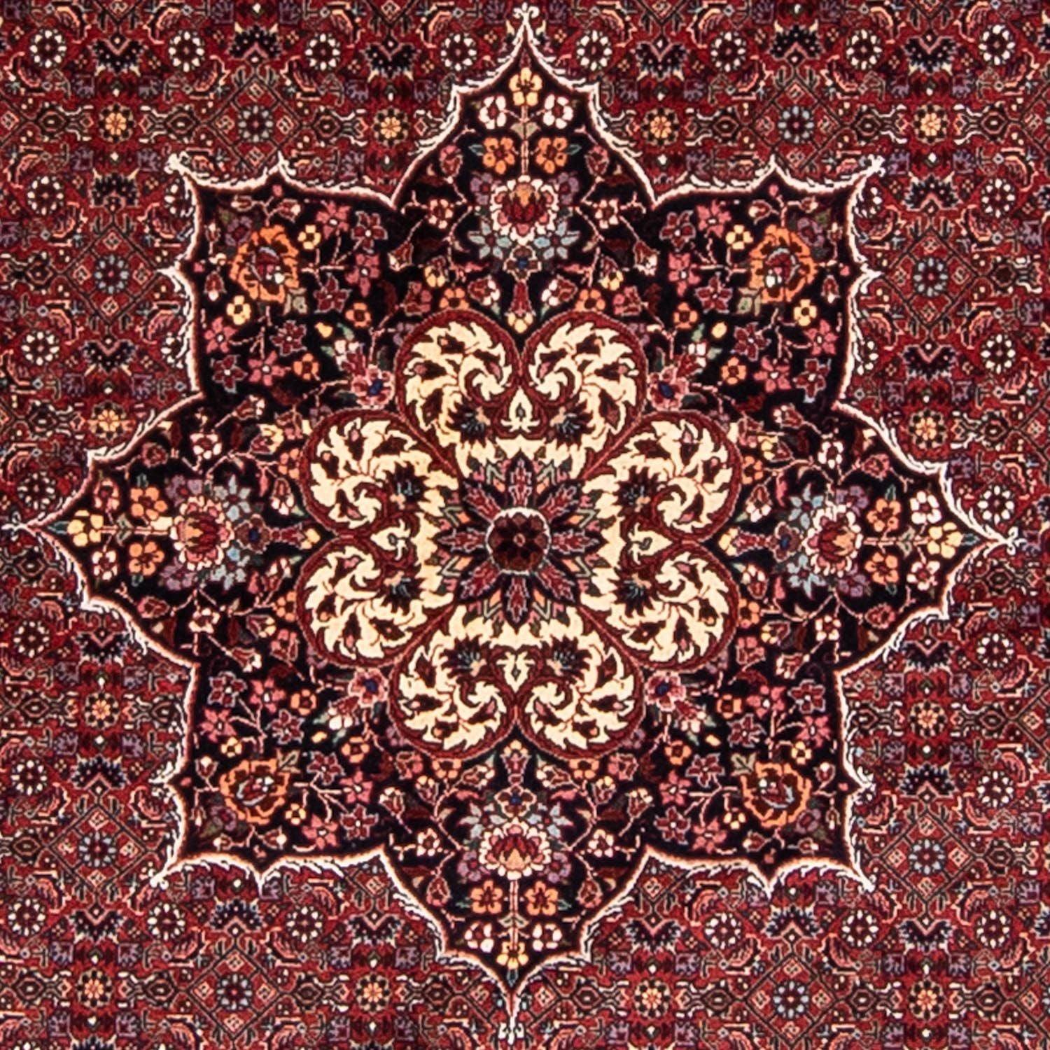 Perserteppich - Bidjar 205 x 205 cm