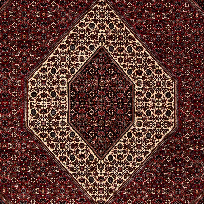 Perserteppich - Bidjar 251 x 203 cm