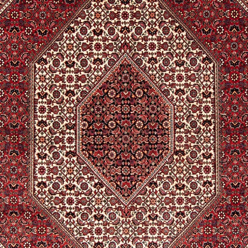 Perserteppich - Bidjar 242 x 170 cm
