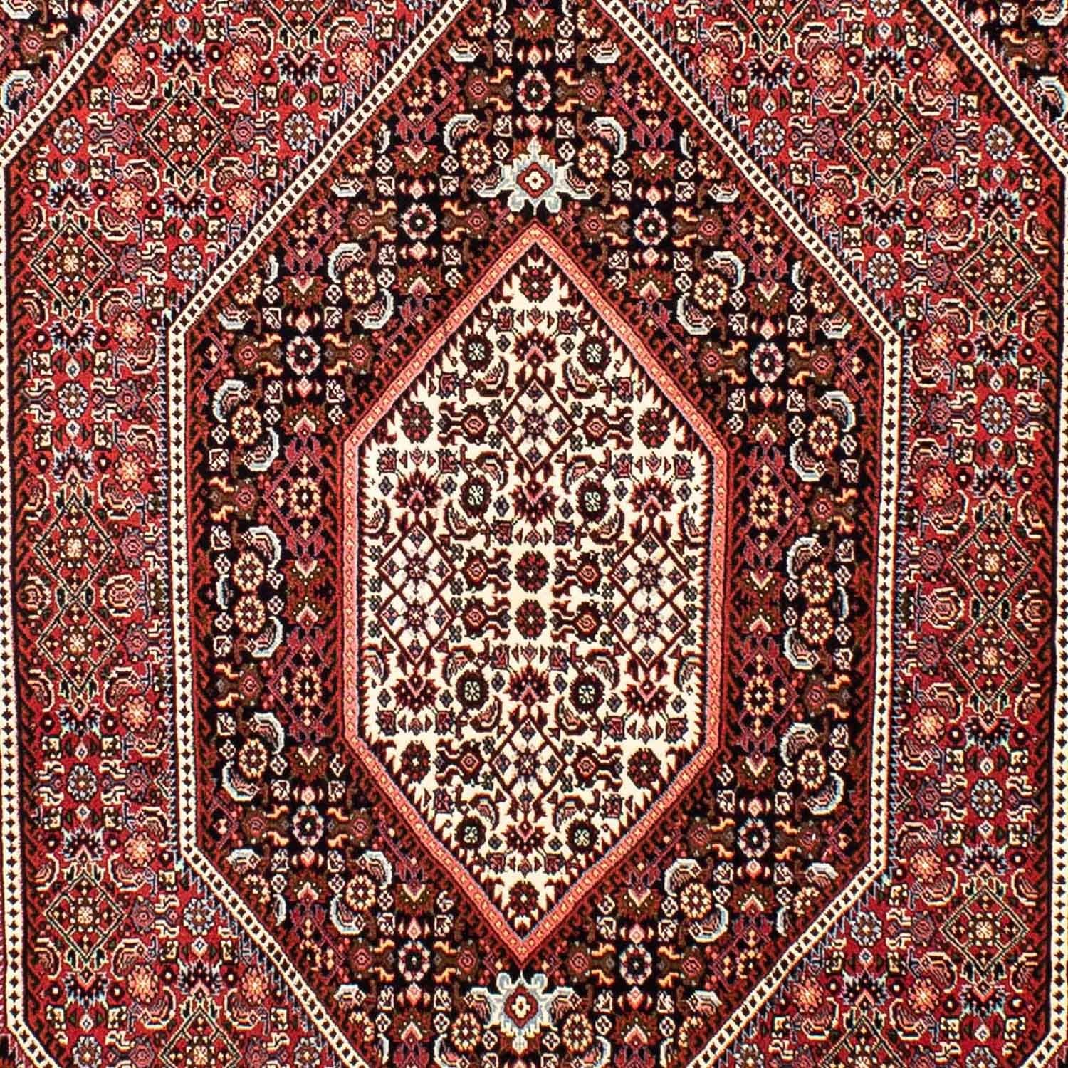 Perserteppich - Bidjar 257 x 162 cm