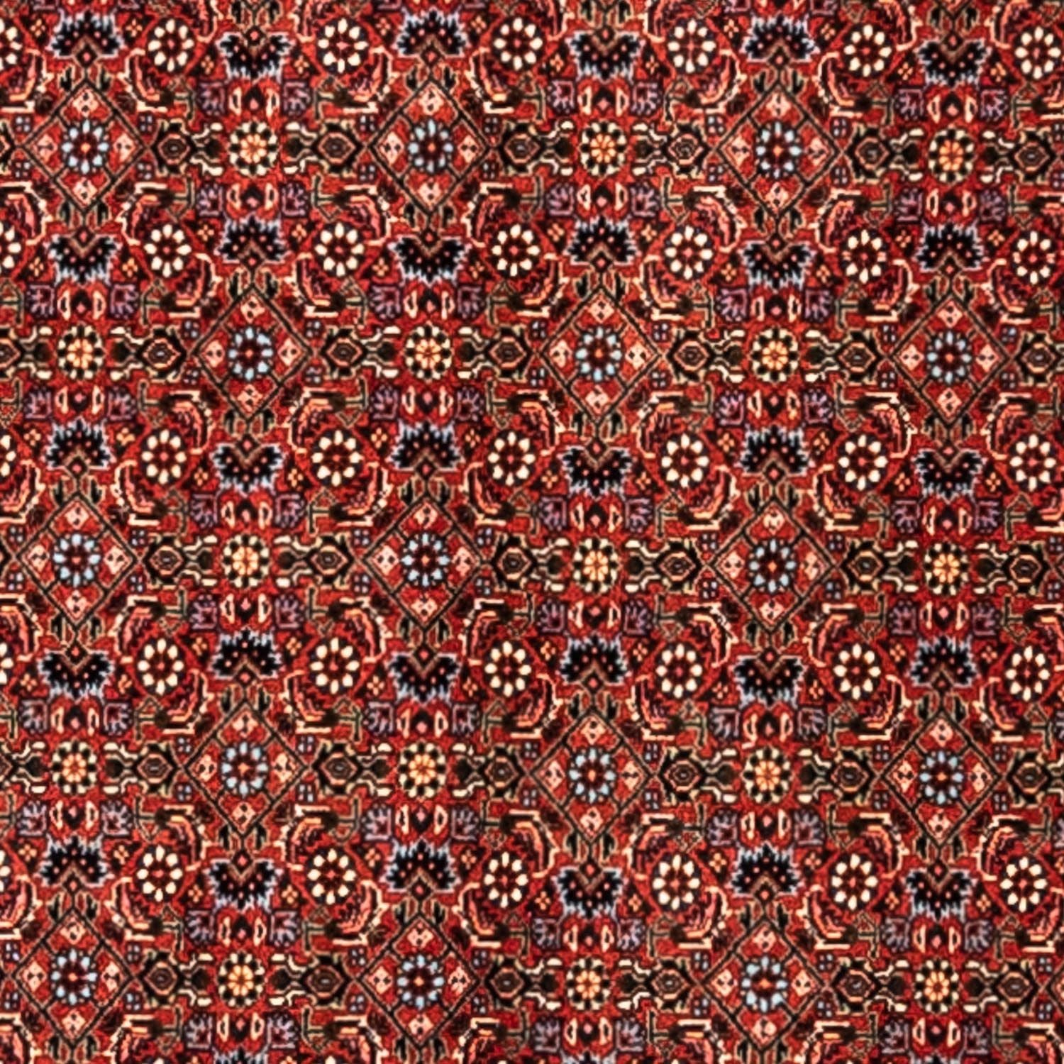 Perserteppich - Bidjar - Royal 363 x 248 cm - rot