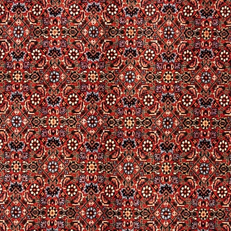 Perserteppich - Bidjar - Royal 363 x 248 cm - rot