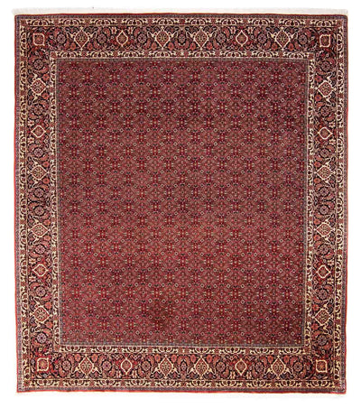 Bidjar Teppich 256x288cm - Perserteppich