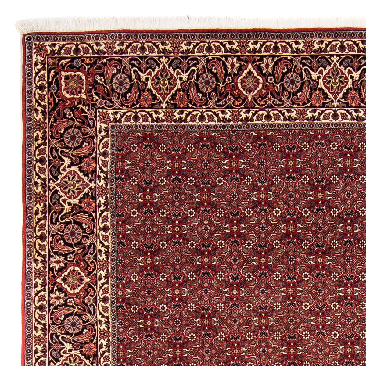 Perserteppich - Bidjar 288 x 256 cm