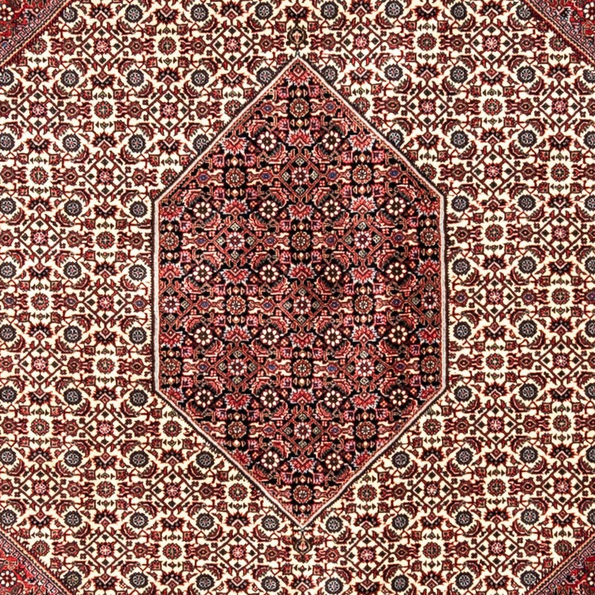 Perserteppich - Bidjar - Royal 343 x 253 cm - rot