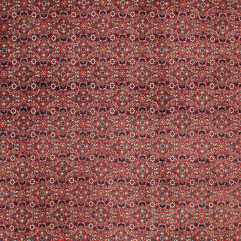 Perserteppich - Bidjar 290 x 203 cm - dunkelrot