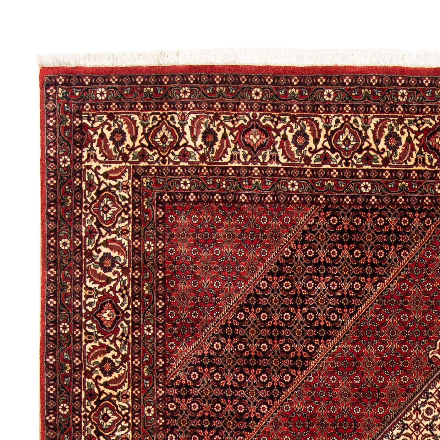 Bidjar Teppich 248x171cm - Perserteppich